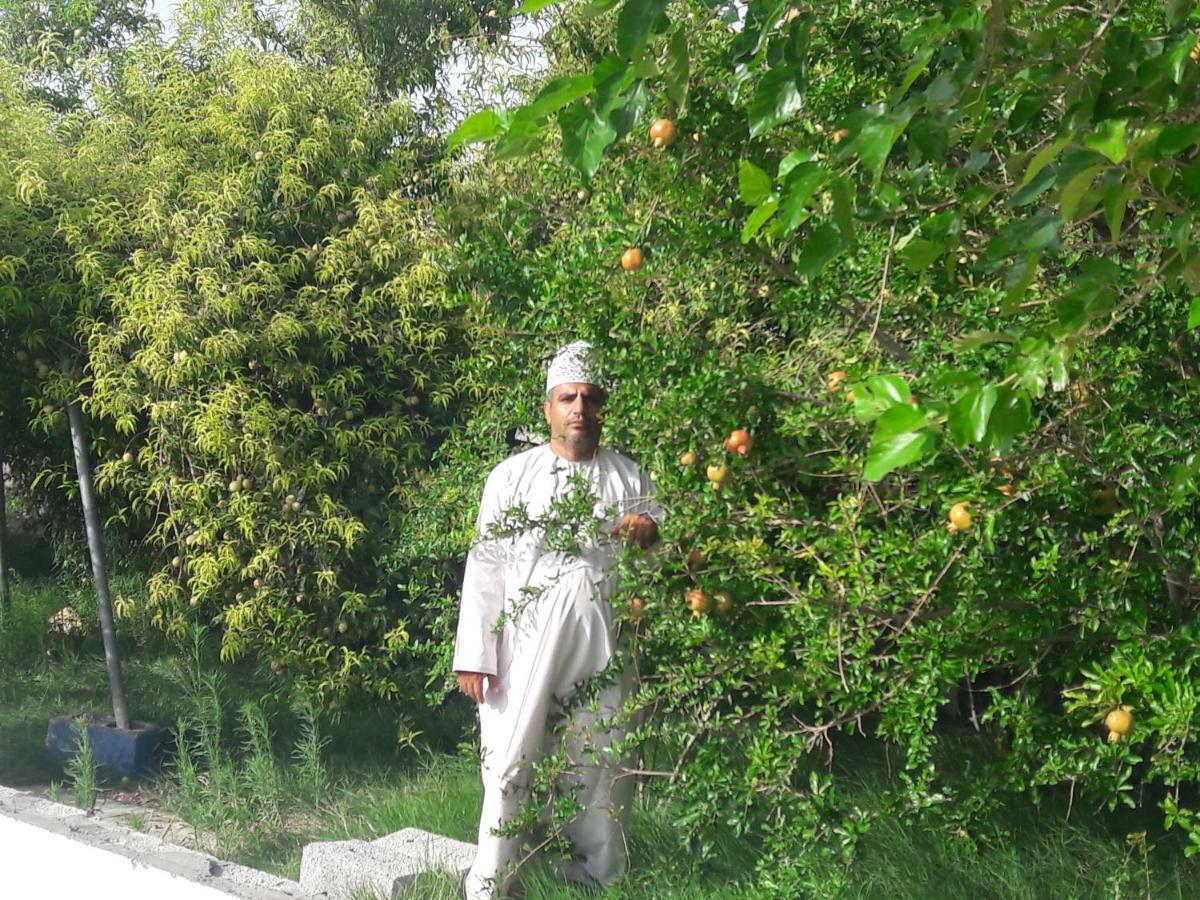 ホテル Abu Omair Jabal Shams House Al Ḩamrāʼ エクステリア 写真