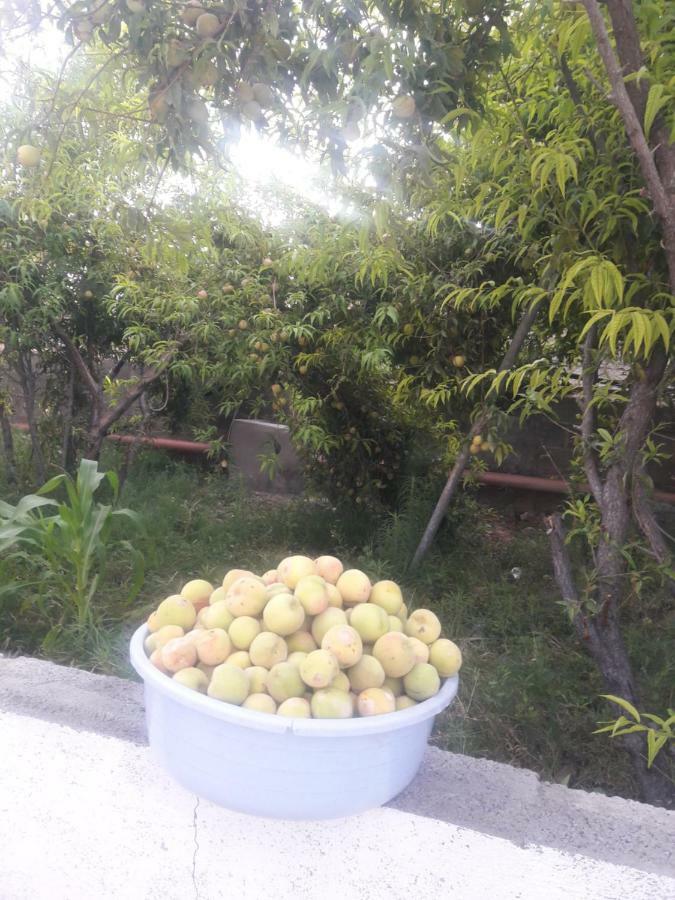 ホテル Abu Omair Jabal Shams House Al Ḩamrāʼ エクステリア 写真